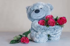 Teddy Day Celebration : टेडी हे नाव कस पडलं माहितीये का तुम्हाला ; जाणून घ्या काय आहे या मागचा  इतिहास