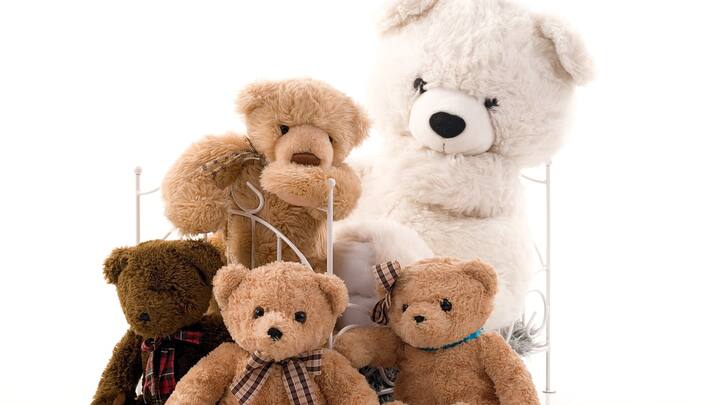 Teddy Day Celebration : टेडी हे नाव कस पडलं माहितीये का तुम्हाला ; जाणून घ्या काय आहे या मागचा  इतिहास