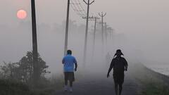 Weather Update: কুয়াশা নিয়েই ভোর, শৈত্য প্রবাহের সতর্কতা রাজ্যের ৮ জেলায়