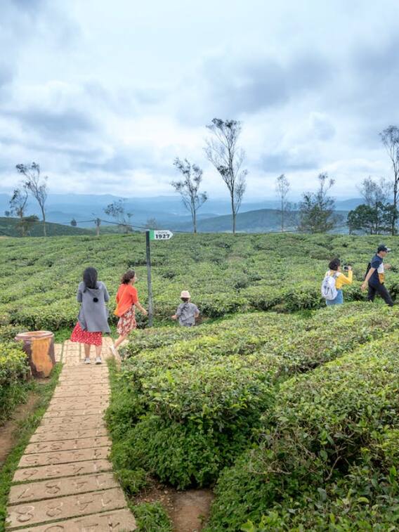 दुनिया के इन देशों में सबसे ज्यादा उगती हैं फसलें