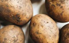 Agriculture: ਅਮਰੀਕਾ ‘ਚ ਇੰਨਾ ਮਹਿੰਗਾ ਵਿਕਦਾ ਆਲੂ, ਇੰਨੇ ਪੈਸਿਆਂ ‘ਚ ਖਰੀਦ ਲਓਗੇ ਕਈ ਕਿਲੋ ਸੇਬ-ਸੰਤਰੇ