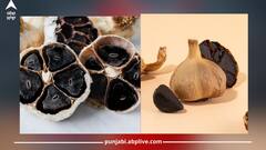 Health News: ਕਾਲੇ ਲੱਸਣ ਖਾਣ ਨਾਲ ਸਰੀਰ ਨੂੰ ਮਿਲਣਗੇ ਇਹ ਜ਼ਬਰਦਸਤ ਫਾਇਦੇ