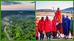 Amazon Forest: ஒரு நிமிடத்தில் மைதானம் அளவு அழிக்கப்படும் காடுகள்...அமேசான் காடுகளின் அதிசிய தகவல்கள்...