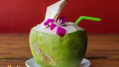 Coconut Water in Winter : हिवाळ्यात गर्भवती स्त्रीने नारळ पाणी पिणे सुरक्षित आहे का? जाणून घ्या