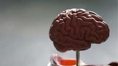 Brain tips :या चुकीच्या सवयींमुळे मेंदूवर होतोय परिणाम,काय आहे नेमकं कारण !