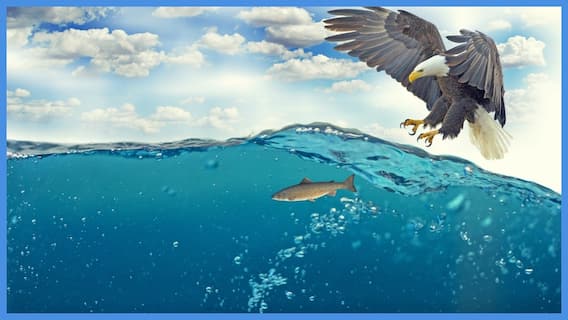 Migratory Birds: கோடைகாலத்தில் இந்தியாவுக்கு வருகைதரும் அழகிய பறவைகள்... Migratory Birds: கோடைகாலத்தில் இந்தியாவுக்கு வருகைதரும் அழகிய பறவைகள்...