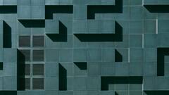 Optical Illusion: जंगल में पेड़ पर छिपे हैं उल्लू, 5 सेकंड में ढूंढकर दिखाइए