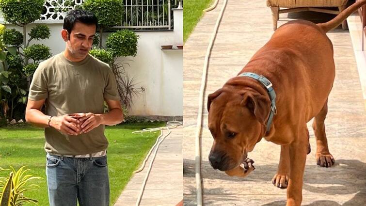 Gautam Gambhir's pet Dog died former Indian batter express his grief Gautam Gambhir: गौतम गंभीर पर टूटा दुखों का पहाड़, पूर्व भारतीय बैटर के कुत्ते का हुआ निधन