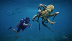 Octopus Mating: உடலுறவுக்குப் பிறகு தன்னைத்தானே அழித்துக்கொள்ளும் ஆக்டோபஸ்! - காரணமென்ன தெரியுமா?