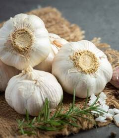 Health News: ਕਾਲੇ ਲੱਸਣ ਖਾਣ ਨਾਲ ਸਰੀਰ ਨੂੰ ਮਿਲਣਗੇ ਇਹ ਜ਼ਬਰਦਸਤ ਫਾਇਦੇ