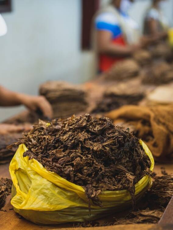 सबसे ज्यादा तंबाकू कौन से देश में पैदा होता है?