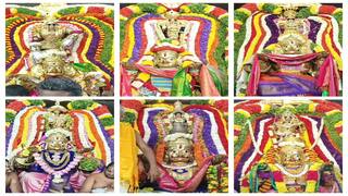 சீர்காழியில் ஒரே நேரத்தில் பக்தர்களுக்கு காட்சி அளித்த 11 பெருமாள்கள் - பக்தர்கள் பரவசம்!