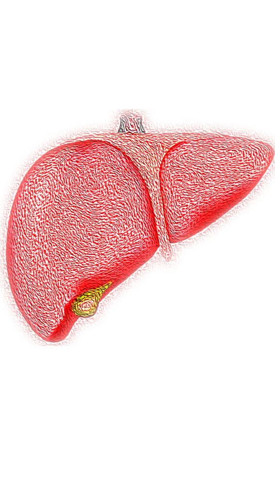 உங்கள் நுரையீரலை பாதுகாக்க இந்த உணவுகளை உண்ணுங்கள்!