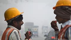 Bengal Weather Update: ছুটির সকালে কুয়াশা, শৈত্য প্রবাহের সতর্কতা কোথায় কোথায় ?