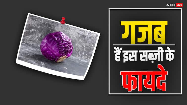 fitness and diet tips purple cabbage health benefits in hindi गजब फायदेमंद है बैंगनी रंग की पत्ता गोभी, कैंसर से लेकर दिल की बीमारियों का खतरा करेगी कम