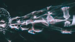 Optical Illusion: जंगल में पेड़ पर छिपे हैं उल्लू, 5 सेकंड में ढूंढकर दिखाइए