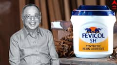 India's Fevicol Man: পিওনের চাকরি থেকে কয়েক লক্ষ কোটির সাম্রাজ্য, ইনি ভারতের ‘Fevicol Man’