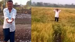 अवकाळी पाऊस, गारपीटीने विदर्भाला झोडपलं; शेतकऱ्यांचं मोठं नुकसान
