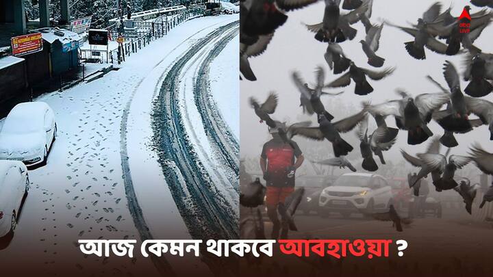 Bengal Weather Update: রবিবার কেমন আবহাওয়া দুই বঙ্গে ?