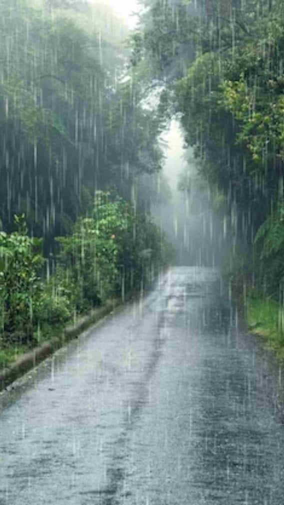 ਮੌਸਮ ਵਿਭਾਗ ਵਲੋਂ ਇਨ੍ਹਾਂ ਸੂਬਿਆਂ ਵਿੱਚ ਭਾਰੀ ਮੀਂਹ ਦੀ ਚਿਤਾਵਨੀ