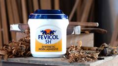 India's Fevicol Man: পিওনের চাকরি থেকে কয়েক লক্ষ কোটির সাম্রাজ্য, ইনি ভারতের ‘Fevicol Man’