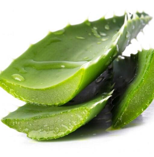 ਅੱਜ ਅਸੀਂ ਤੁਹਾਨੂੰ ਐਲੋਵੇਰਾ ਜੂਸ ਦੇ ਗੁਣਕਾਰੀ ਫਾਇਦਿਆਂ ਬਾਰੇ ਦੱਸਾਂਗੇ, ਜੇਕਰ ਤੁਸੀਂ ਸਵੇਰ ਦੀ ਸ਼ੁਰਆਤ ਇਸ ਨੂੰ ਪੀਣ ਨਾਲ ਕਰਦੇ ਹੋ ਤਾਂ ਤੁਸੀਂ ਆਪਣਾ ਪੂਰਾ ਦਿਨ ਸਿਹਤਮੰਦ ਬਿਤਾ ਸਕਦੇ ਹੋ। ਇਸ ਡ੍ਰਿੰਕ ਨੂੰ ਪੀਣ ਨਾਲ ਤੁਸੀਂ ਨਾ ਸਿਰਫ ਸਿਹਤਮੰਦ ਰਹੋਗੇ ਸਗੋਂ ਤੁਹਾਡੀ ਚਮੜੀ 'ਚ ਵੀ ਚਮਕ ਆਵੇਗੀ।