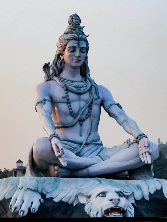 ये हैं भारत के 7 शुद्ध शाकाहारी शहर