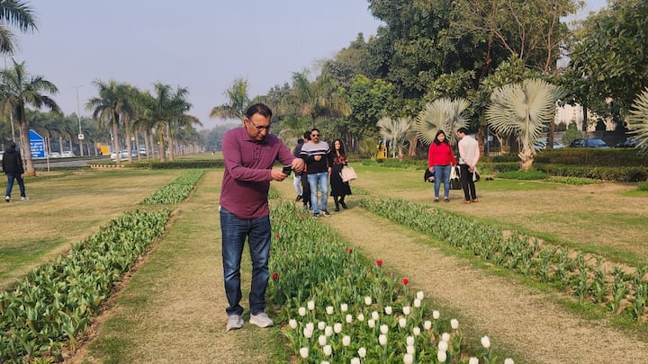 एनडीएमसी ट्यूलिप फेस्टिवल 21 फरवरी तक चलेगी. इस फेस्टिवल का आयोजन नई दिल्ली के मध्य में शांति पथ, चाणक्यपुरी, नई दिल्ली के लॉन में किया जा रहा है. जहां सुबह 11 बजे से शाम 6 बजे तक आम लोग ट्यूलिप की खूबसूरती का लुत्फ उठा सकेंगे. इस फेस्टिवल में एंट्री पूरी तरह से निःशुल्क है.