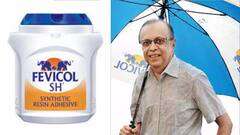 India's Fevicol Man: পিওনের চাকরি থেকে কয়েক লক্ষ কোটির সাম্রাজ্য, ইনি ভারতের ‘Fevicol Man’