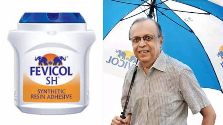 বইয়ের মলাট হোক বা দেওয়ালে চুনকাম, যুগ যুগ ধরে ভারতবাসীর ভরসা হয়ে উঠেছে Fevicol. তবে একদিনে দেশের আশা-ভরসা হয়ে ওঠেনি এই সংস্থা। তিলে তিলে এই Fevicol-কে দাঁড় করিয়েছেন বলবন্তরায় কল্যাণজি পারেখ। -ফাইল চিত্র।