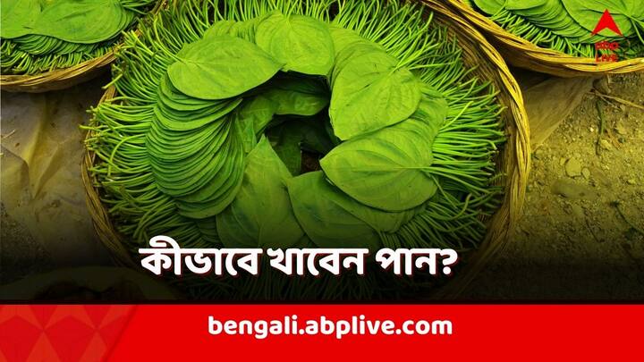 Benefits of Betel Leaves: পান খান? পানের সঙ্গে আর কী কী রাখেন? কীভাবে খাবেন পান?