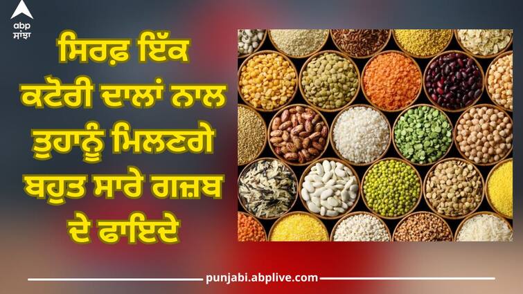 pulses are protein powerhouse know its benefits health news Pulses Benefits: ਸਿਰਫ਼ ਇੱਕ ਕਟੋਰੀ ਦਾਲਾਂ ਨਾਲ ਤੁਹਾਨੂੰ ਮਿਲਣਗੇ ਬਹੁਤ ਸਾਰੇ ਗਜ਼ਬ ਦੇ ਫਾਇਦੇ, ਫਟਾਫਟ ਇਨ੍ਹਾਂ ਦਾਲਾਂ ਨੂੰ ਡਾਈਟ 'ਚ ਕਰੋ ਸ਼ਾਮਲ