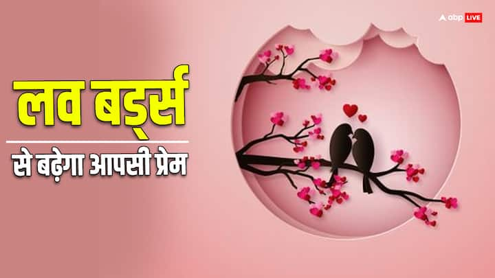 Valentine’s Day 2024 Vastu Tips: वास्तु शास्त्र के अनुसार घर पर कुछ पक्षियों की तस्वीर रखना बहुत शुभ होता है.खासकर जोड़े में इन्हें रखने से सकारात्मक ऊर्जा का संचार और पति-पत्नी के बीच प्रेम बढ़ता है.