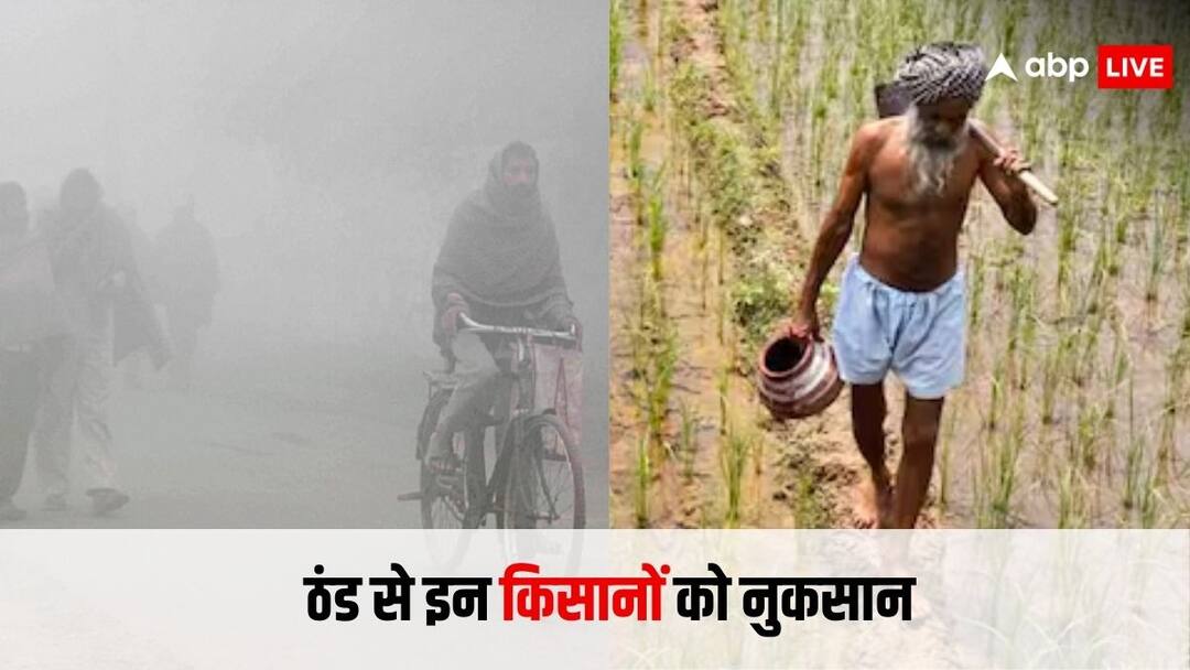ठंड है कि जाने का नाम ही नहीं ले रही... किन किसानों के लिए हो खड़ी होने वाली है मुश्किल which farmers are going to face difficulties in winter season know the details ठंड है कि जाने का नाम ही नहीं ले रही... किन किसानों के लिए हो खड़ी होने वाली है मुश्किल