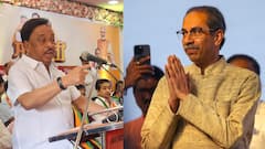 'Uddhav Harassed Raj Thackeray, Now Buttering Him Up': Narayan Rane Blames Ex-CM For Shiv Sena's 'Downfall'