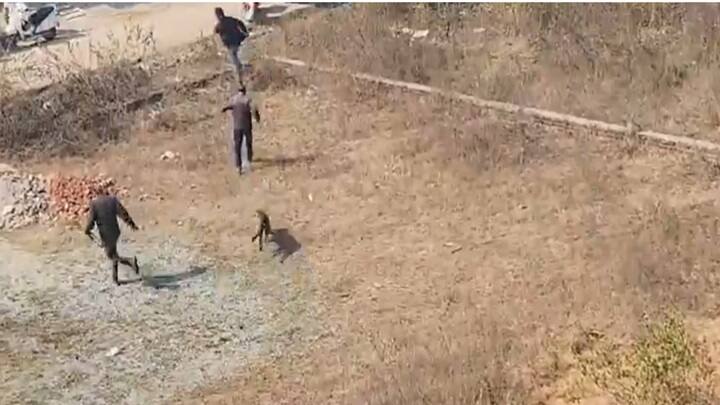 Uttarakhand forest department tried to catch the leopard in Haldwani video goes viral Watch Video: பாய்ந்து வந்த சிறுத்தை.. அலறியடித்து ஓடிய வனத்துறை அதிகாரிகள்.. குடியிருப்பு பகுதியில் பரபரப்பு!