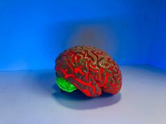 Brain tips :या चुकीच्या सवयींमुळे मेंदूवर होतोय परिणाम,काय आहे नेमकं कारण !