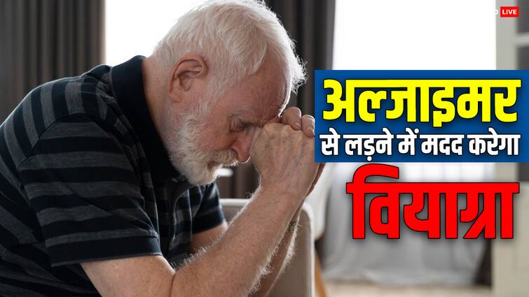 Viagra to Reduce the Risk of Alzheimers in Men New Research Reveals पुरुषों में अल्जाइमर के खतरे को कम करने में मदद करेगा वियाग्रा, रिसर्च में सामने आई यह जानकारी