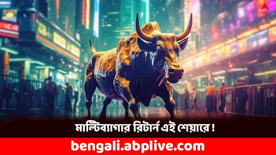 Multibagger Stock: ৪ বছরে রিটার্ন দিয়েছে ৬৫০ শতাংশ ! ৫০ টাকারও কম দাম এই স্টক কেনা আছে ?