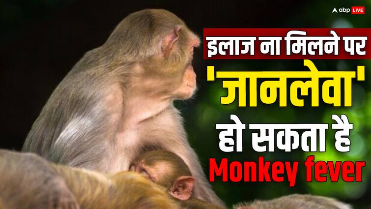 health tips monkey fever causes symptoms prevention in hindi एक गलती और जानलेवा हो सकता है मंकी फीवर, जानिए एक्सपर्ट्स से बचने के उपाय