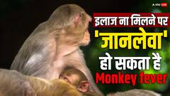 एक गलती और जानलेवा हो सकता है मंकी फीवर, जानिए एक्सपर्ट्स से बचने के उपाय