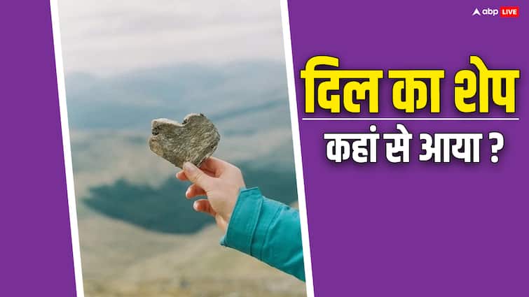 असली हार्ट का शेप तो अलग होता, जानें फिर प्यार के लिए इस दिल का आकार कहां से आया shape of the real heart would have been different then find out where this heart shape for love came from असली हार्ट का शेप तो अलग होता, जानें फिर प्यार के लिए इस दिल का आकार कहां से आया
