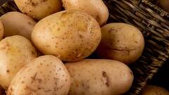 क्या आलू खाने से बढ़ता है वजन? एक्सपर्ट से जान लें फैक्ट्स