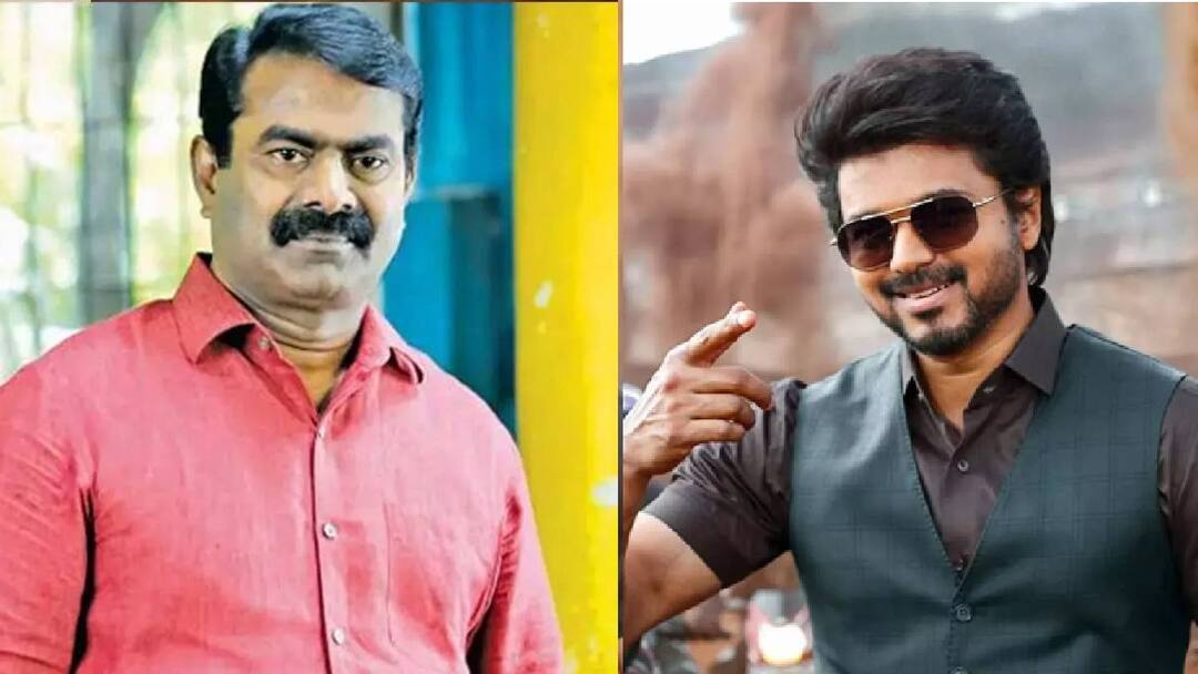 Vijay: இன்னும் ஒரு படம் நடிங்க.. அப்புறம் அரசியல் பண்ணலாம் - விஜய்க்கு அறிவுரை சொன்ன சீமான்!