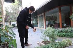 शिव को दूध किया अर्पण, तुलसी पर चढ़ाया जल... अमिताभ बच्चन ने दिखाई जलसा के मंदिर की झलक