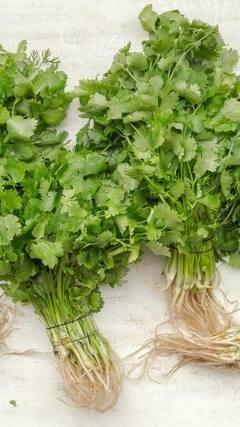 థైరాయిడ్ ఉన్నవారు కొత్తిమీర కషాయం తాగాలట