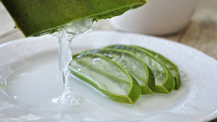 HEALTH BENEFITS OF ALOE VERA JUICE HERE ARE THE TIPS TO CONSUME Aloe Vera Juice : అలోవెరా జ్యూస్​తో ఆరోగ్యానికి ఎన్ని ప్రయోజనాలో.. అలా తీసుకుంటే ఇంకా మంచిదట