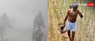 Farming: ਠੰਡ ਮੁੱਕਣ ਦਾ ਨਾਮ ਨਹੀਂ ਲੈ ਰਹੀ...ਕਿਹੜੇ ਕਿਸਾਨਾਂ ਲਈ ਖੜ੍ਹੀ ਹੋ ਸਕਦੀ ਮੁਸ਼ਕਿਲ