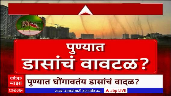 Pune Mosquitoes Special Report : पुण्यात मच्छरांचं वावटळ? घराबाहेर पडणंही झालंय मुश्किल ABP Majha