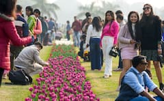 Tulip Festival : राजधानी दिल्लीत ट्युलिप फेस्टिवलची धूम!